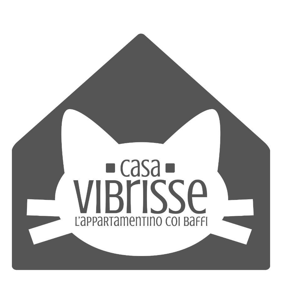 Casa Vibrisse Apartman Torino Kültér fotó